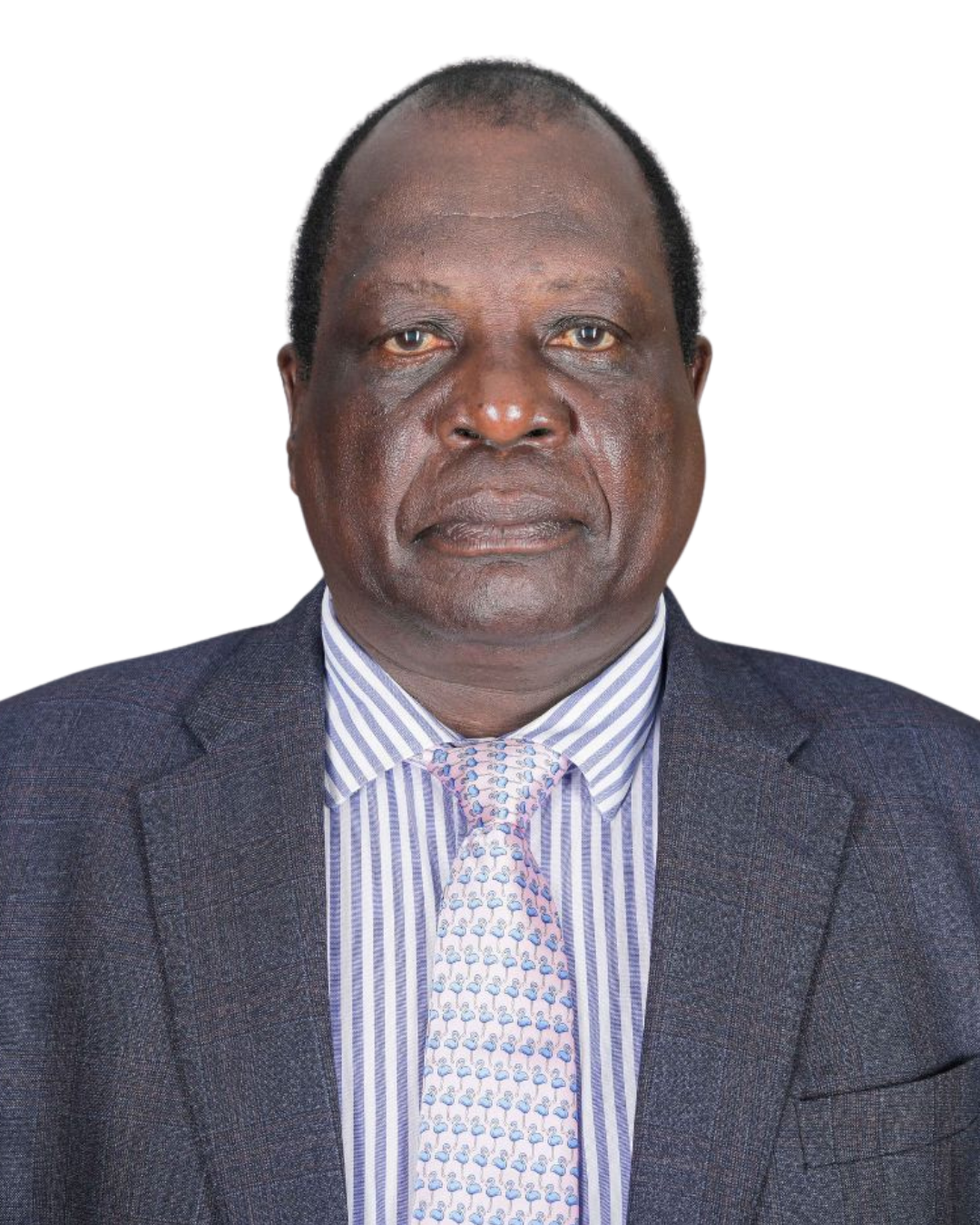 MR. PETERSON MUTHATHAI
